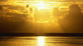Thumbnail of post image 136