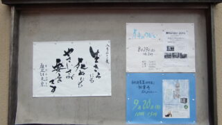 Thumbnail of post image 142