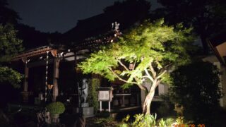 Thumbnail of post image 165