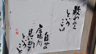 Thumbnail of post image 120