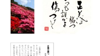 Thumbnail of post image 080