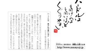 Thumbnail of post image 074