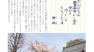 Thumbnail of post image 166