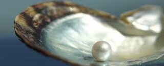 Thumbnail of post image 091