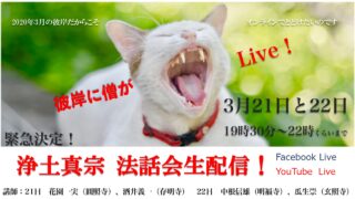 Thumbnail of post image 040