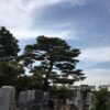 Thumbnail of related posts 041