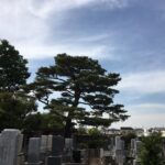Thumbnail of related posts 173