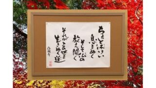ikiru204 20211103のサムネイル
