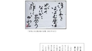 ikiru209　202200901のサムネイル