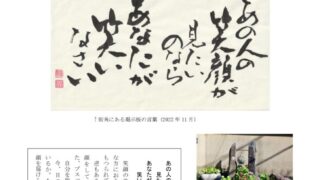 ikiru210　20221103のサムネイル