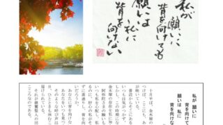 ikiru216　20231102のサムネイル