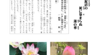 ikiru220　20240706のサムネイル