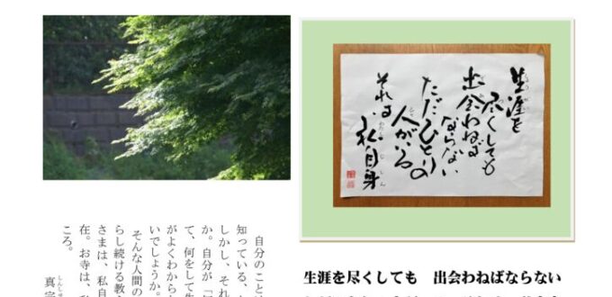 ikiru225　20250503のサムネイル