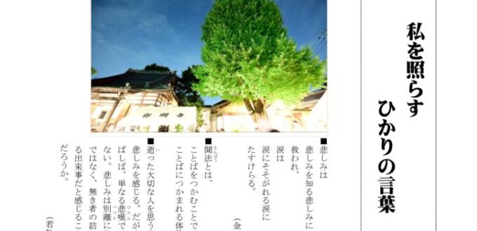 ikiru227　20250910のサムネイル